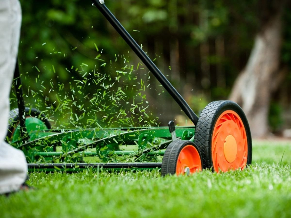 Best Budget Lawn Mowers in 2025: Top Picks for Every Yard || luxurylivingspot.com