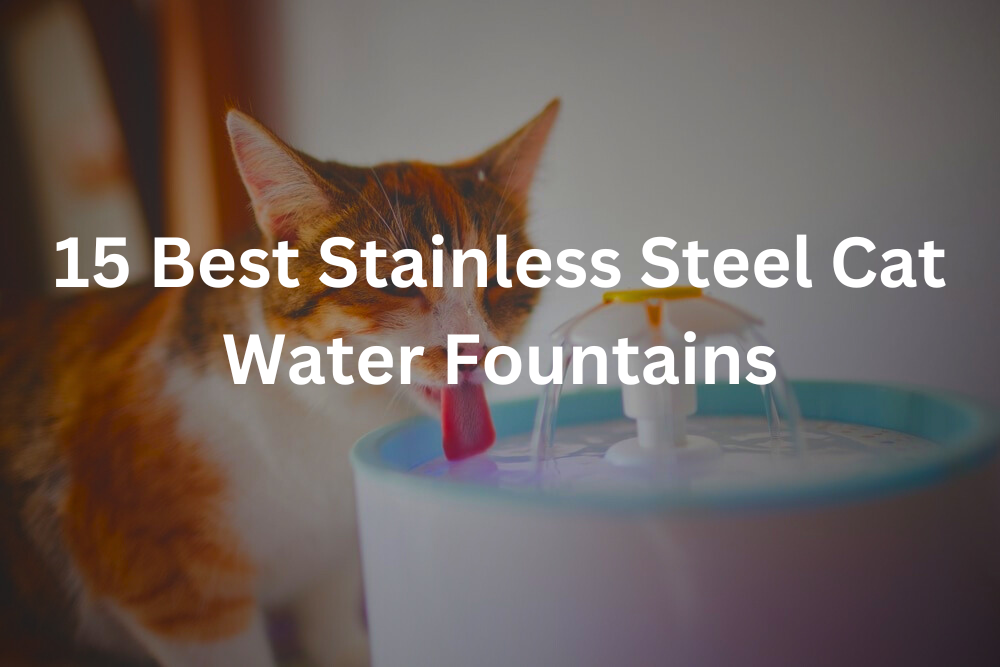 15 Best Stainless Steel Cat Water Fountains in 2025